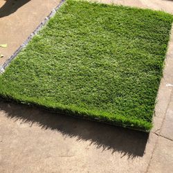 Free Turf Sample For Camping Or Surfing