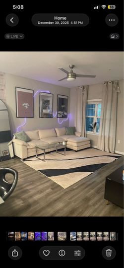 Couch, coffee table, rug = $200 for everything