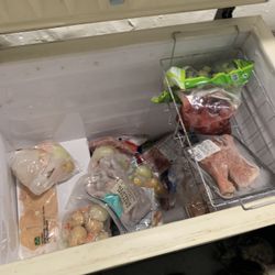 Chest Freezer 