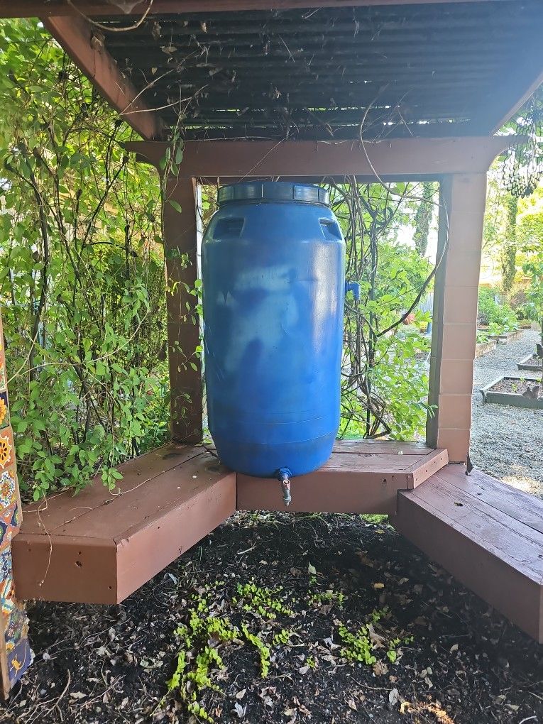 Rain Barrel