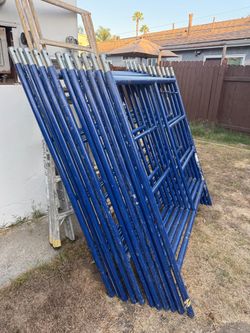 Scaffold