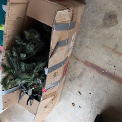 Free Christmas Tree!