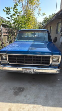 1976 Chevrolet Pickup
