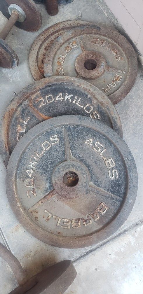 Olympic Bar And Weights 