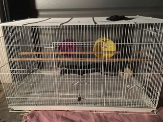 Large Gerbil, Mice, Hamster, Bird Cage for Pets!