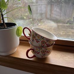 7 Anthropologie Teacups