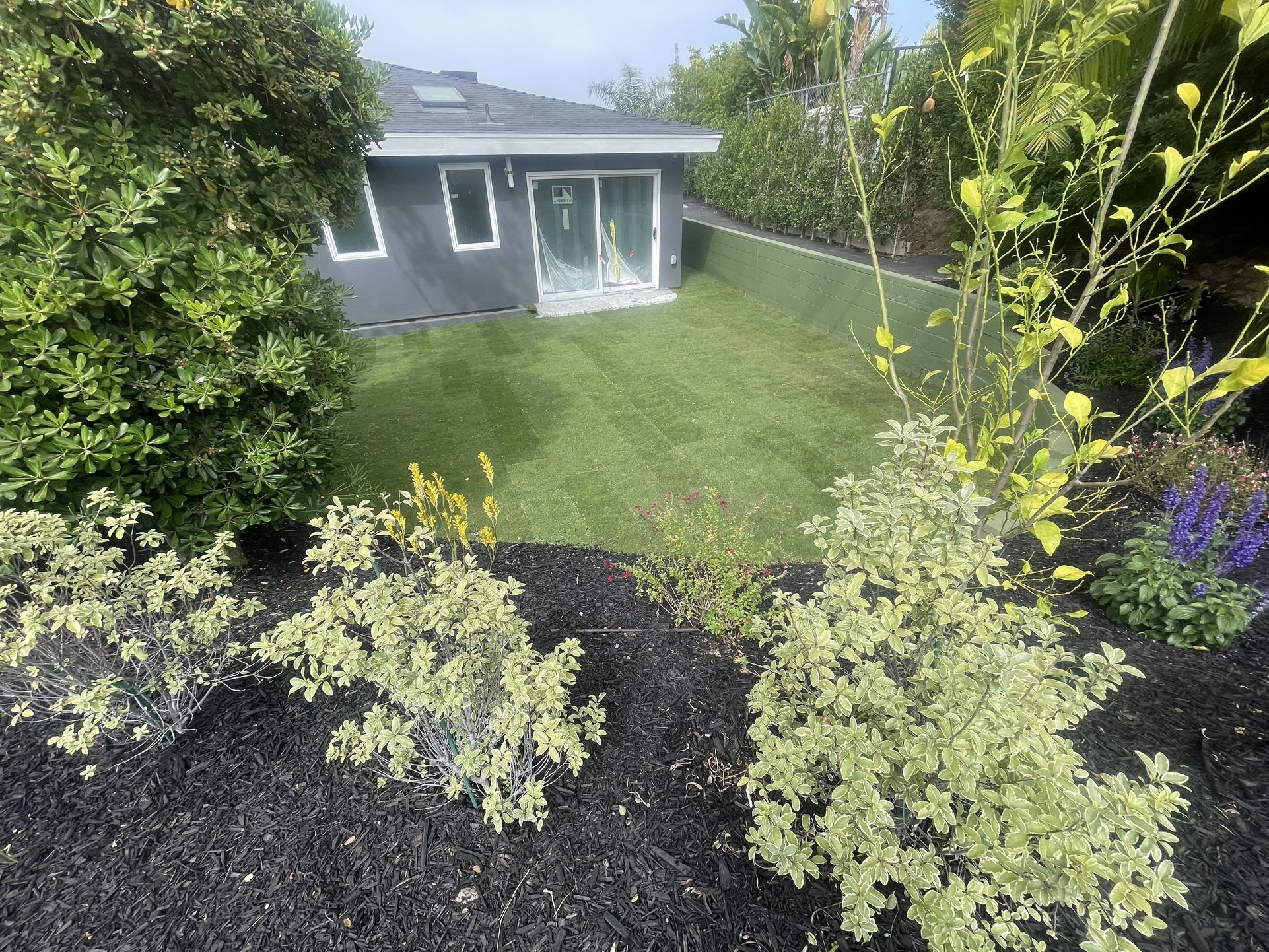 Grass And Sprinklers $3