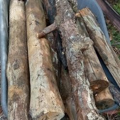 FIREWOOD for Outdoor Burning, Campfire And Fire Pit, Mostly Pine. 3 Large Wheelbarrows For $17