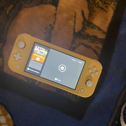 Nintendo Switch Lite 