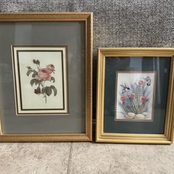 Framed and Matted Cactus and Flower Pictures 