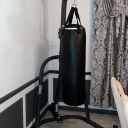Punching Bag Everlast Brand New 