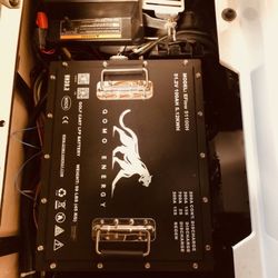 38 8Volt  48  Volt Conversions  To  Lithium  Battery 