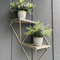 Wall Decor Ans Small Plants 