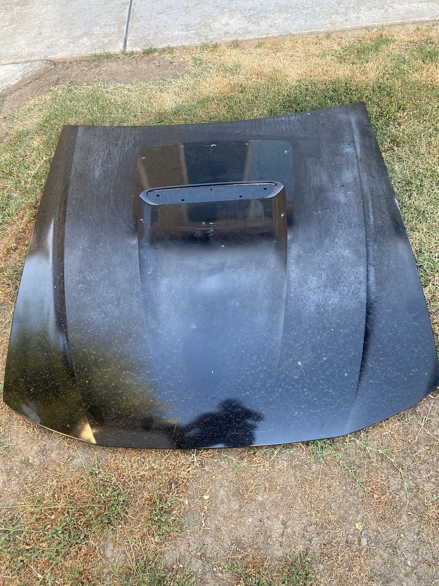 99-04 Mustang Gt Hood No SCOOP