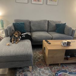 World Market Couch (Dog Not Included)