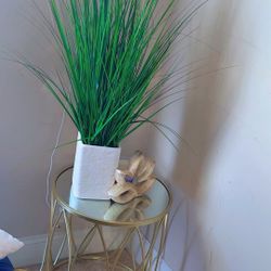 Table Plant And Decor 
