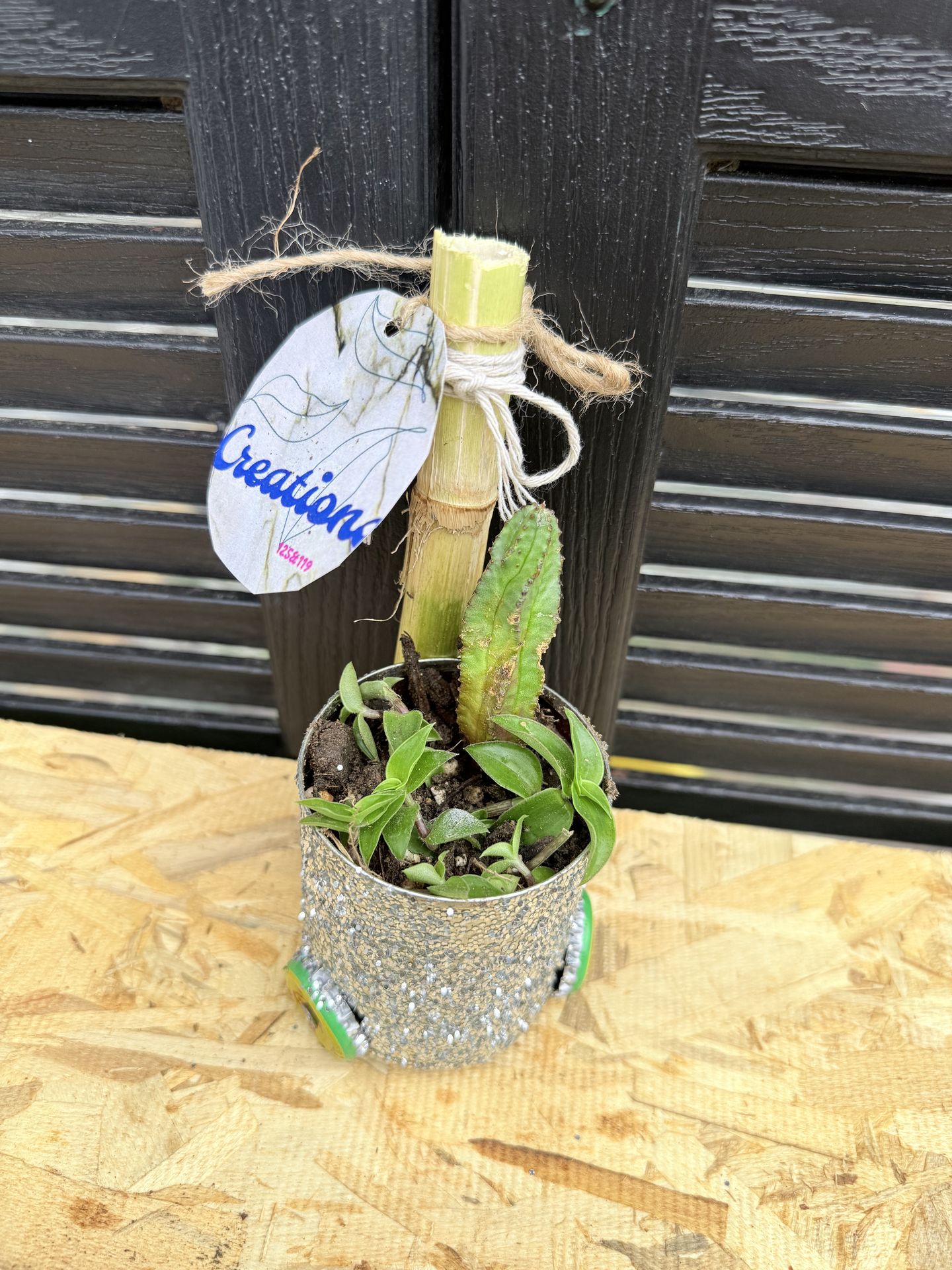 Handmade plant cart 🌱
