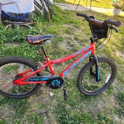 Schwinn "20 Boys Bmx "Like New "