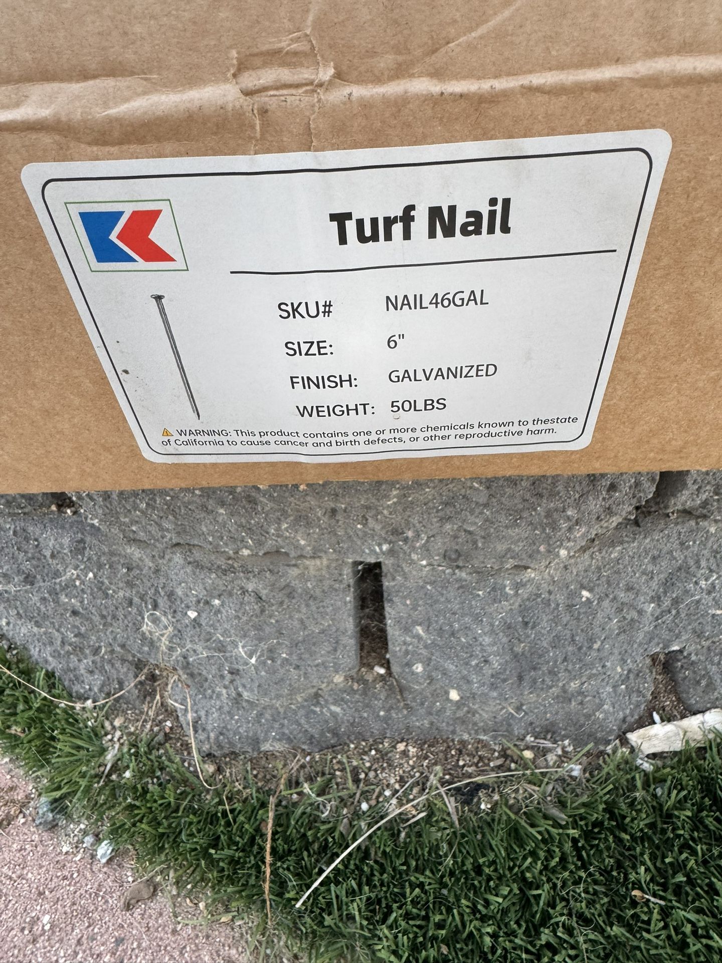 Turf Galvanized 6” Nails