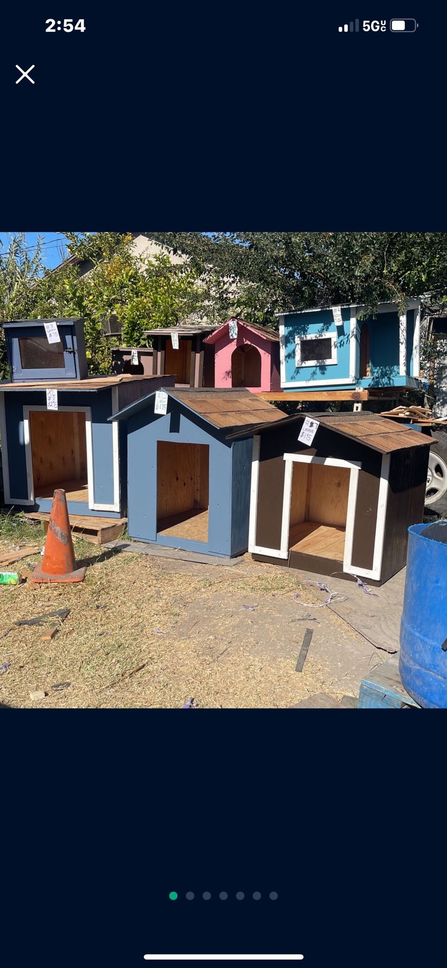 Dog House