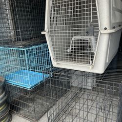11 Kennels
