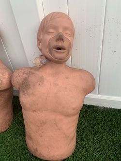 CPR Training Manikin Torso