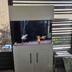 50 Gallon Aquarium With Stand And Canopy 