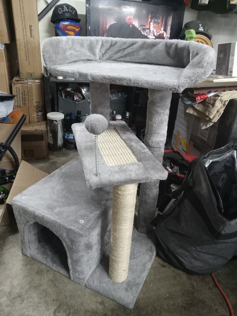 Cat Horse Play Ground