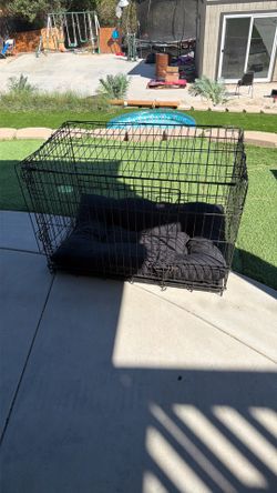 Dog crate and tough bed
