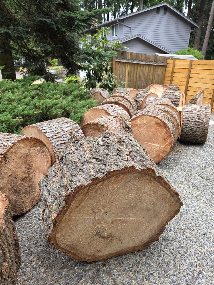 Tree Rounds (Free)
