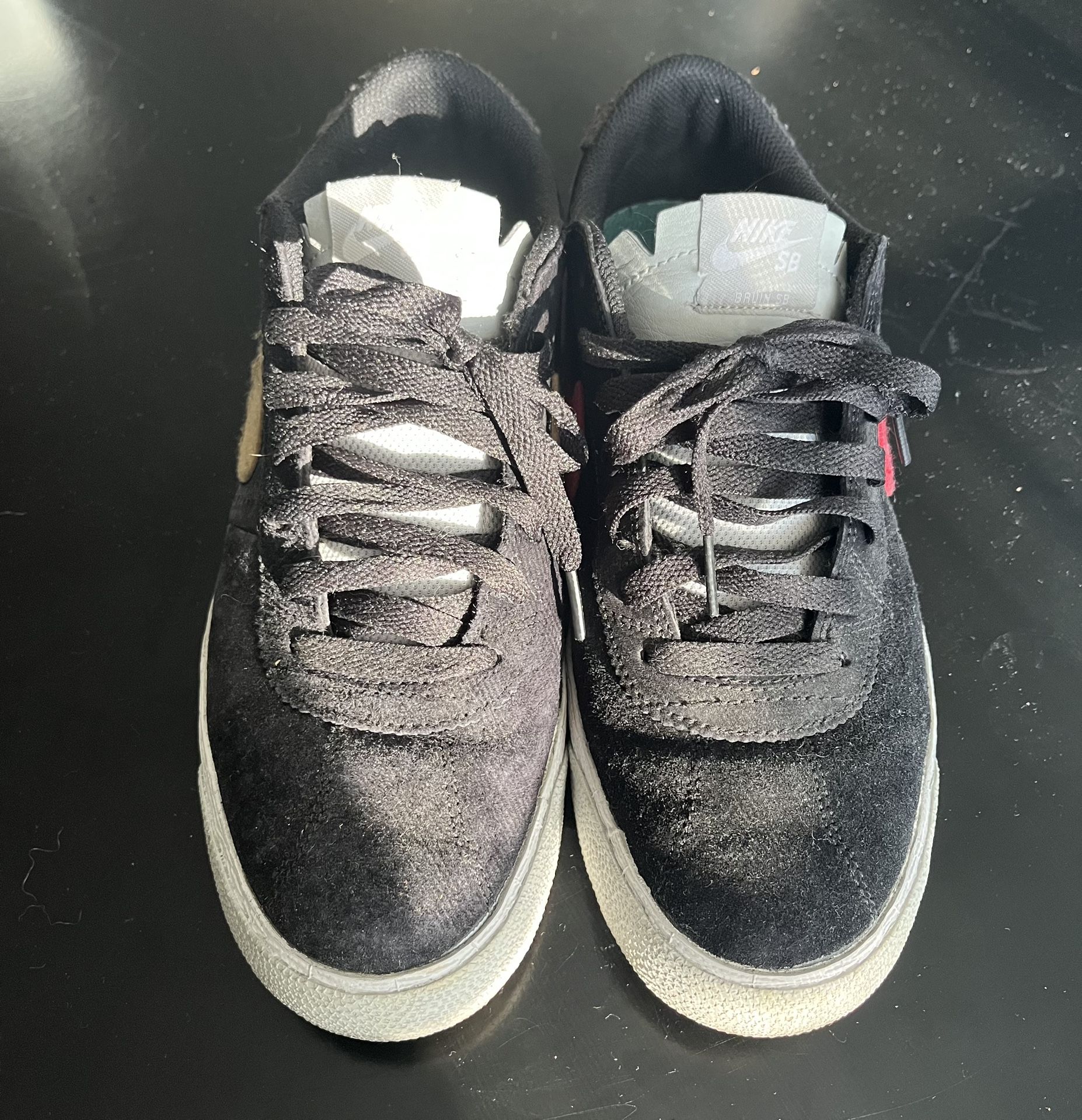 Nike SB Lost Art Bruin (9.5)