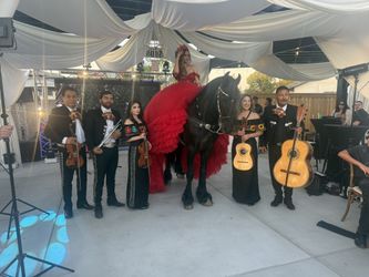 Mariachi KOBRA