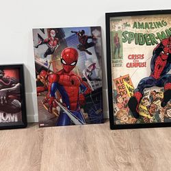 Spider Man And Venom Photo Frames- Set Of 3 