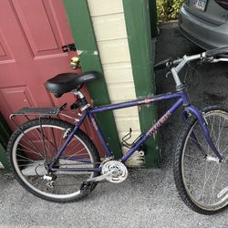 Purple Trek Mountain Bike
