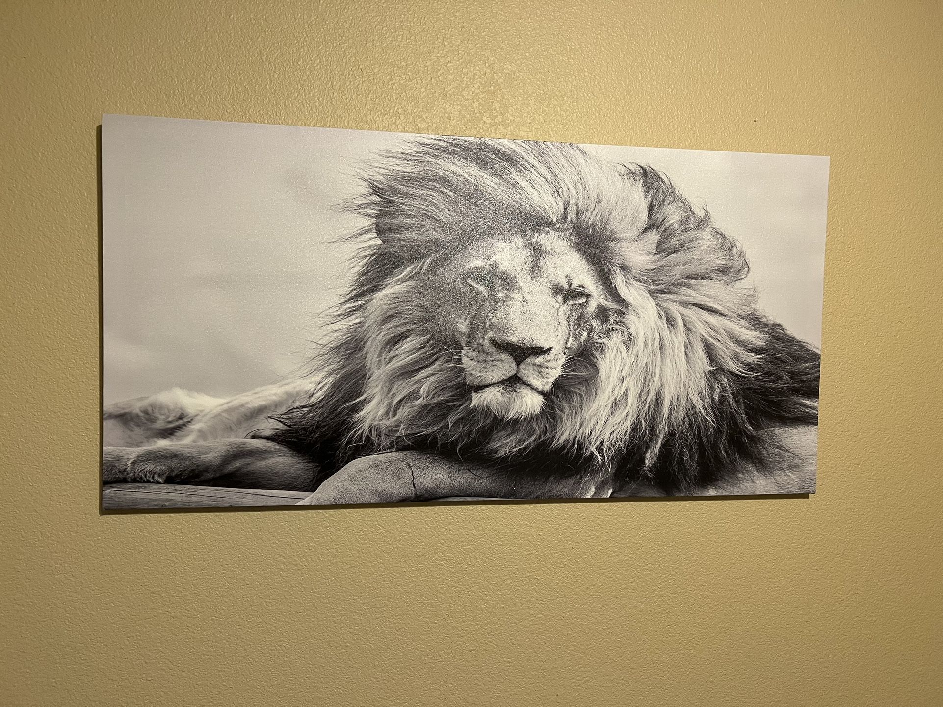 Lion Canvas Paining Wall Art