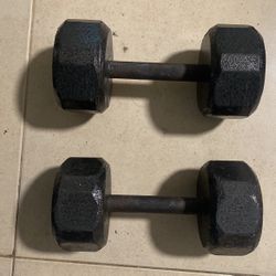 15 Lb Dumbbells