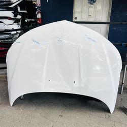 Chevrolet Cruze 2017-2019 Hood Oem