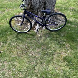 26” Raleigh mountain bike (small frame)