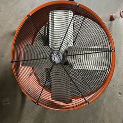 Fan 