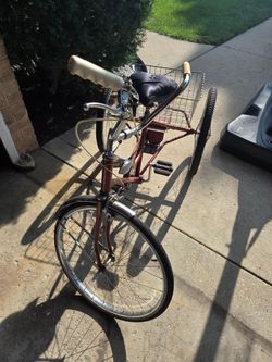 Adults tricycle