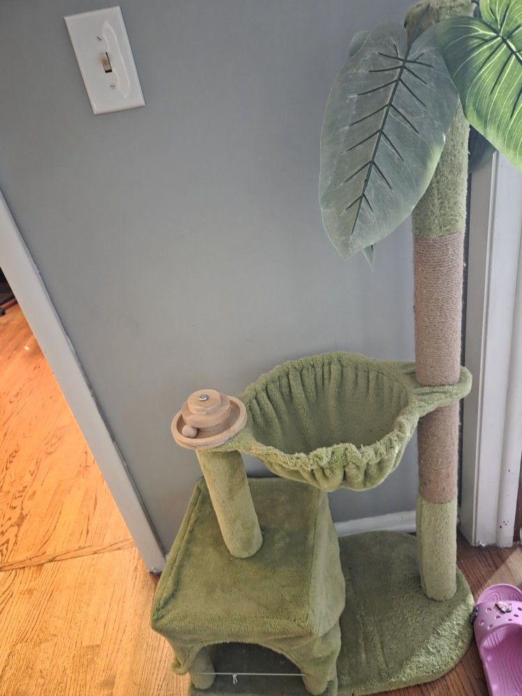 Cat Tree