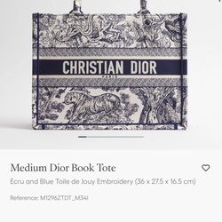 Christian Dior Bag