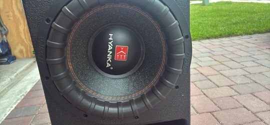 12 in subwoofer