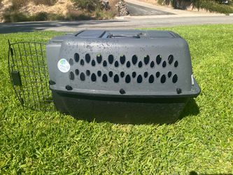 Pet Kennel