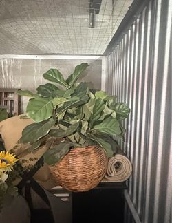 Artificial Plant