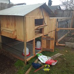 Made Upon Order Chicken Coups 