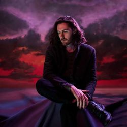 2 TICKETS TO HOZIER ON 10/7 @ TALKING STICK 