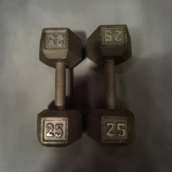 25 Lbs Dumbbells