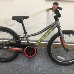 Specialized Riprock 20”