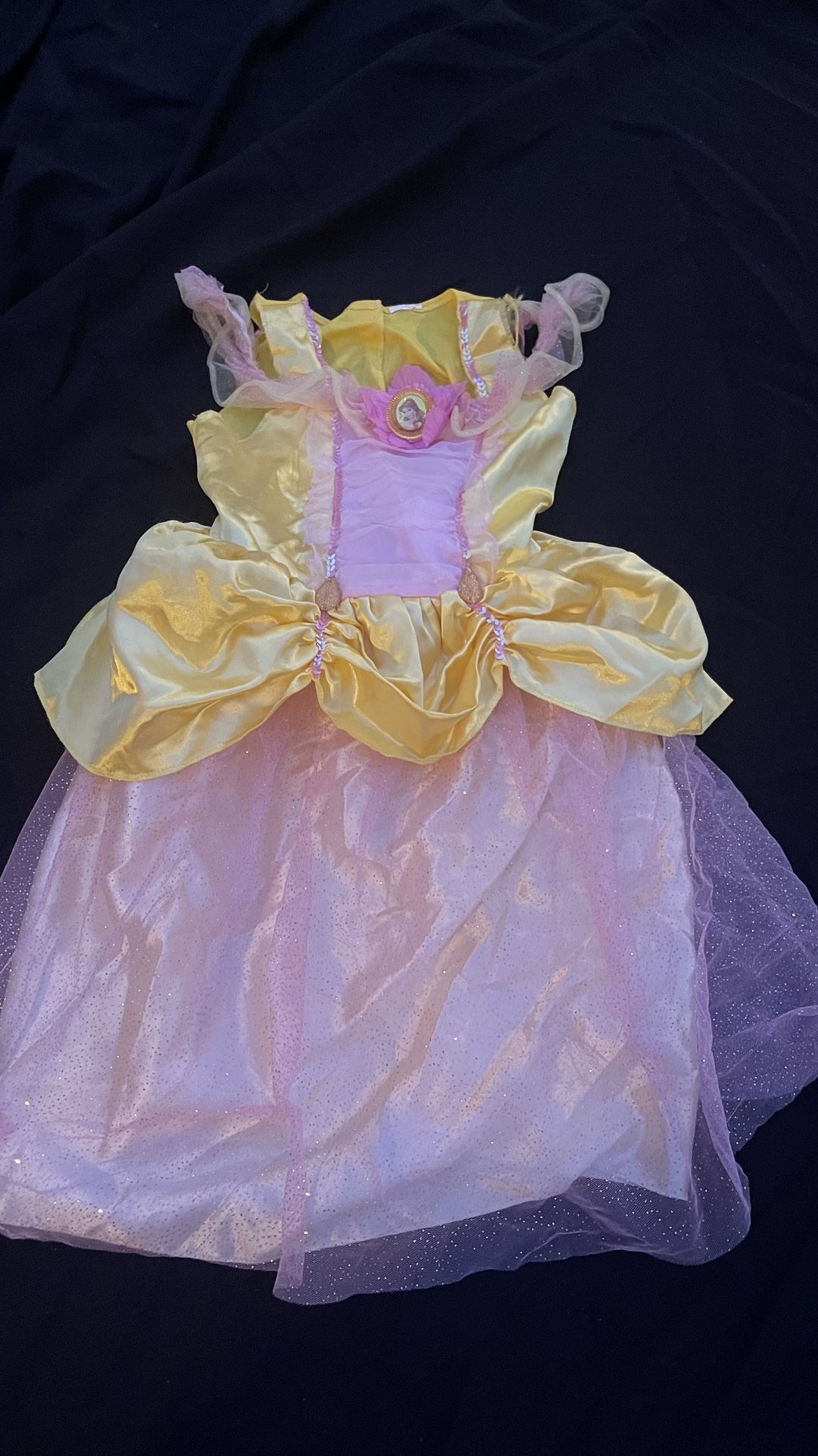 Belle Disney Costume